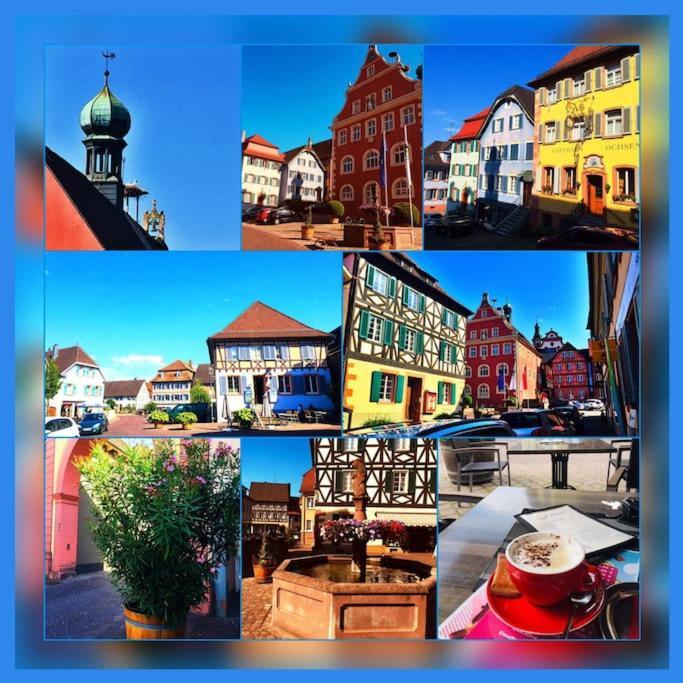 Fewo-Barbara, Ruhige Lage, 15 Min. Zum Europapark Ettenheim Esterno foto